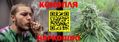 сатива Дмитров