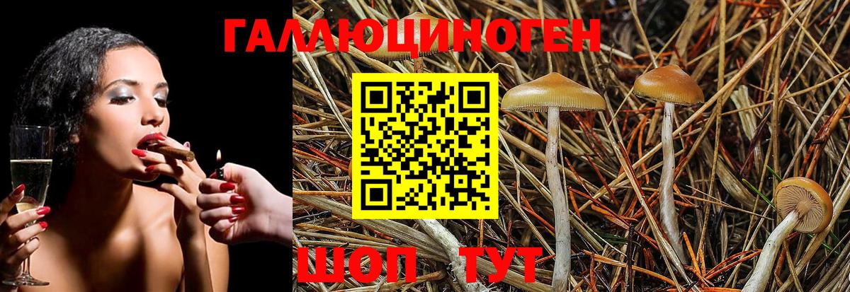 Галлюциногенные грибы ЛСД  Псилоцибиновые грибы MAGIC MUSHROOMS  Большой Камень  закладка  Вход с VPN 