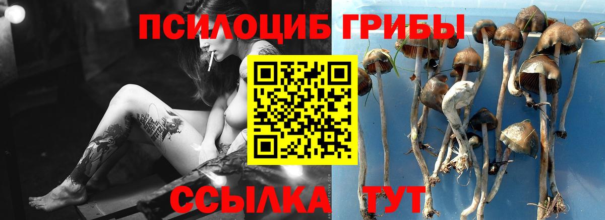 Галлюциногенные грибы Magic Shrooms Большой Камень